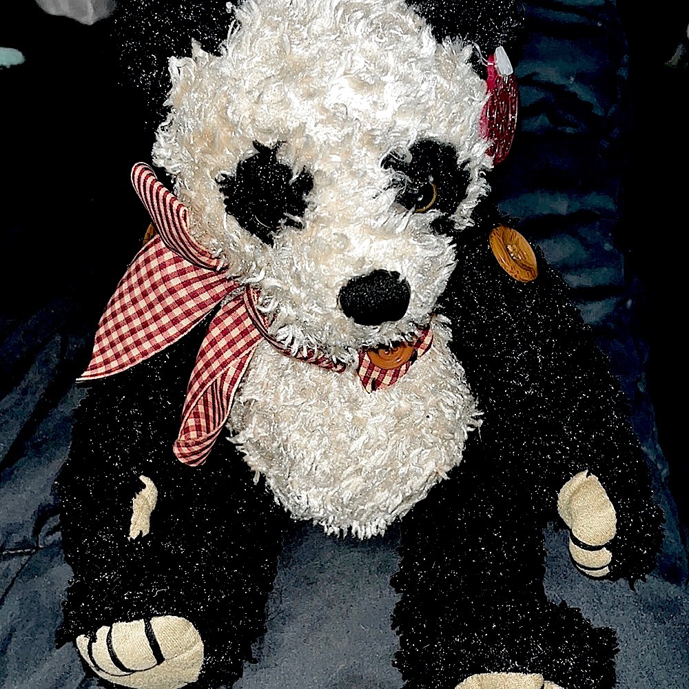 DANDEE button Bear rare NWT